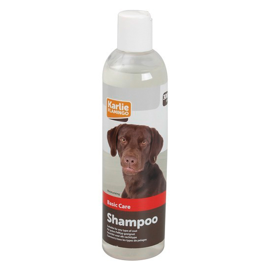 Basic Care Shampoo 300ml