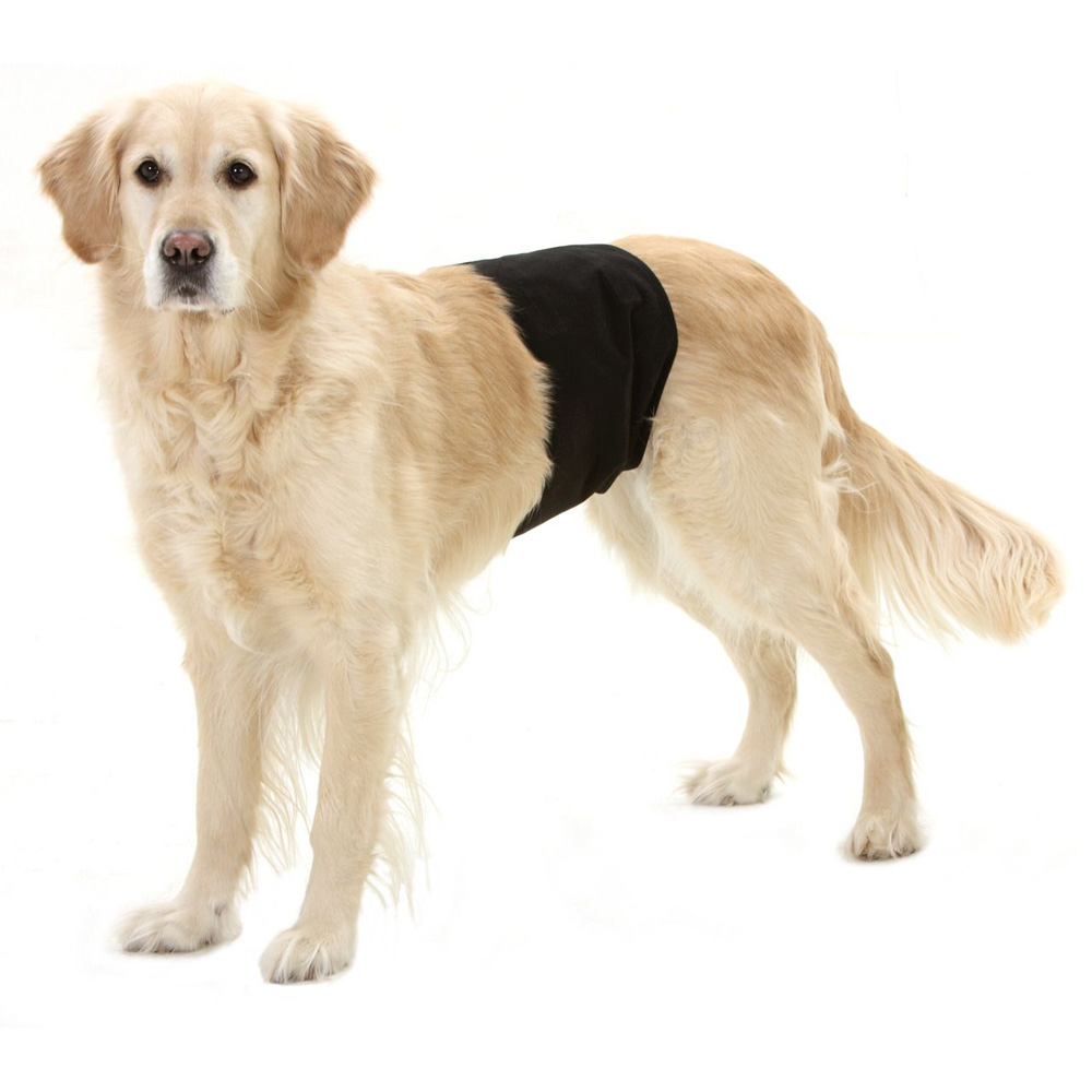 Dog pant black 49 x 14 cm
