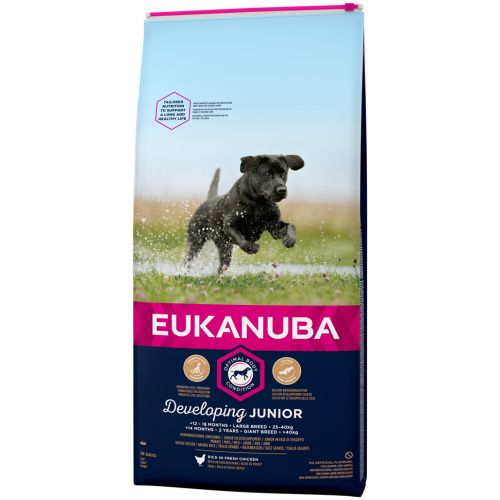 Eukanuba Dog Junior Large 15 kg