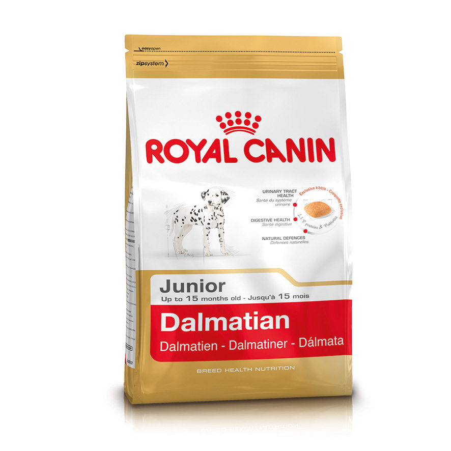 Dalmatiner Junior 12kg rcdb