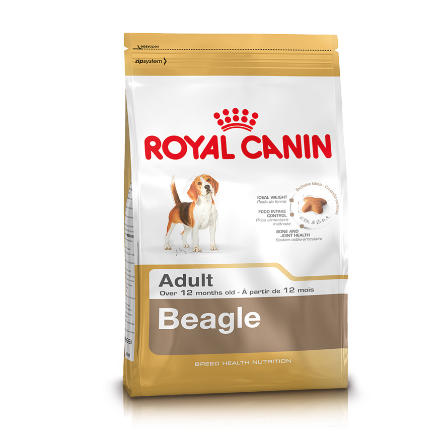 Beagle 12kg