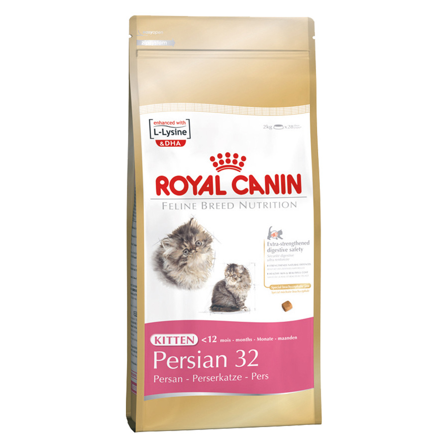 Kitten Persian 2kg rccb