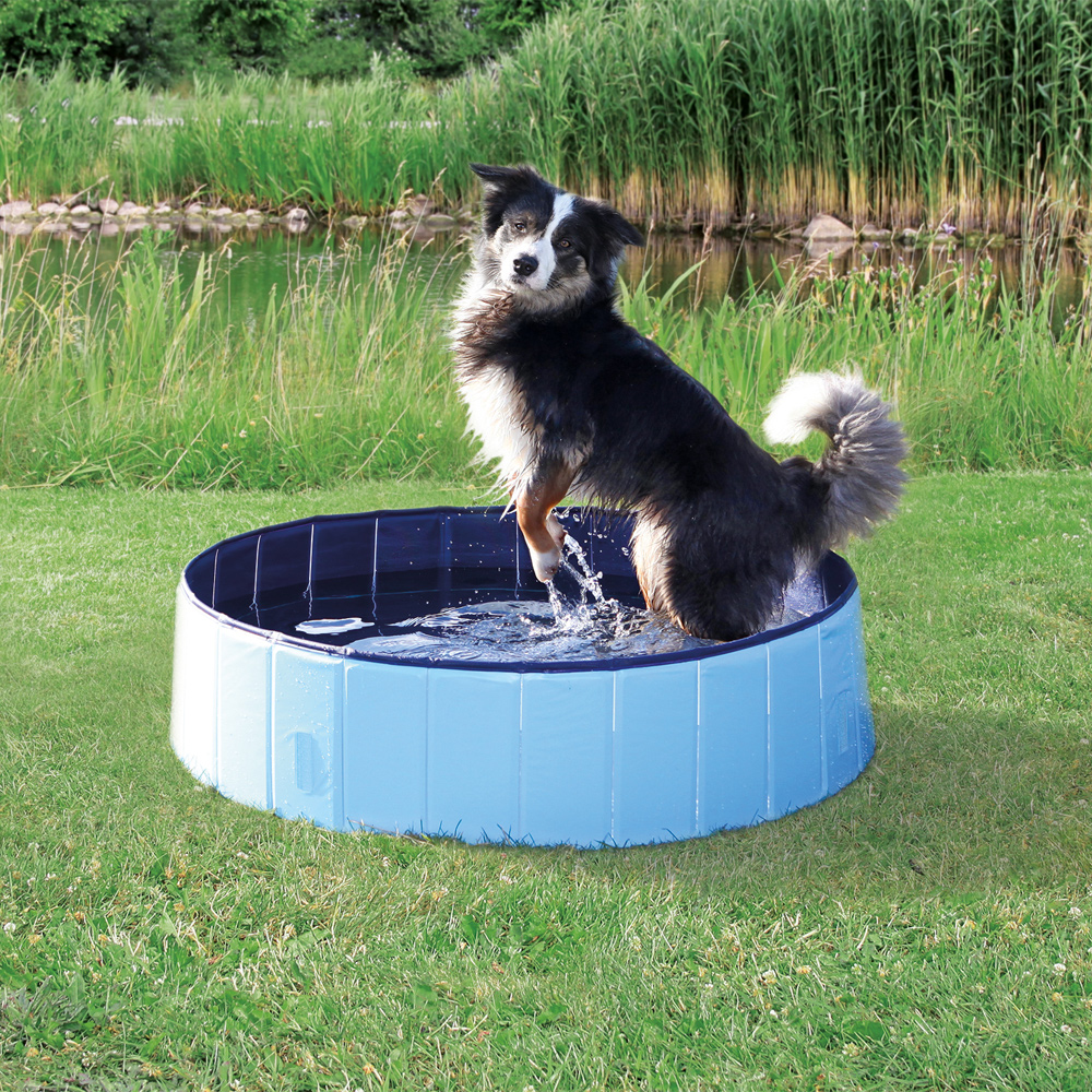 Dog Pool 80cm