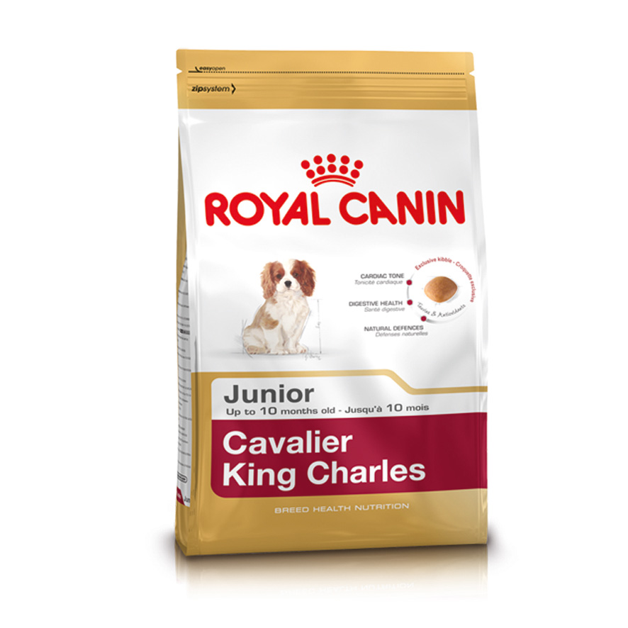 Cavalier King Charles Puppy 1,5 kg